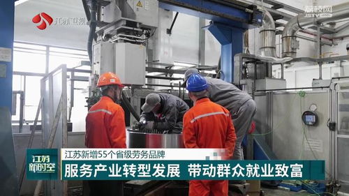 江苏省培育55个省级劳务品牌，以专业化服务赋能产业转型与群众增收